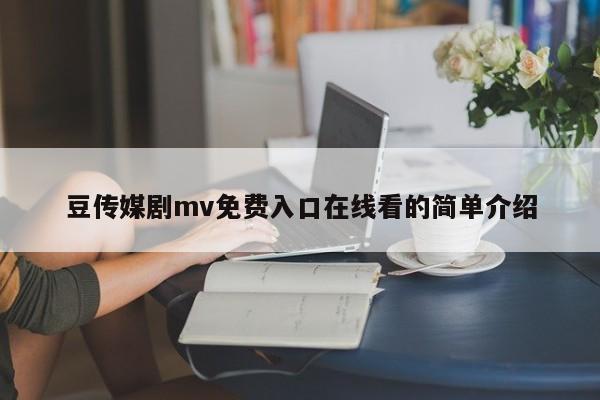 豆传媒剧mv免费入口在线看的简单介绍